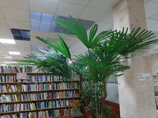 Книги и журналы