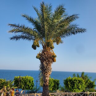 ИЗМИР-АНТАЛИЯ