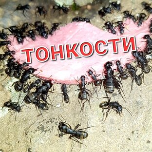 Тонкости похода и лайфхаки 