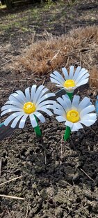 Цветы из бутылок 