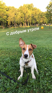 С добрым утром 