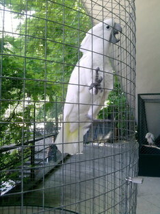 Фото которые мне понравились.