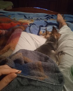 СП триостарты