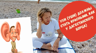 Марафон Эффективности "ВЫХОД ИЗ Ж..ПКИ" с Аленой Гармоничной