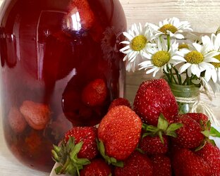 УРОЖАЙ ЗАГОТОВКИ