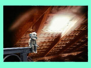 Домовые с улицы Сливовой