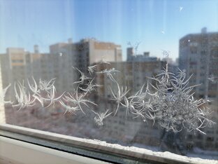 Узоры мороза 