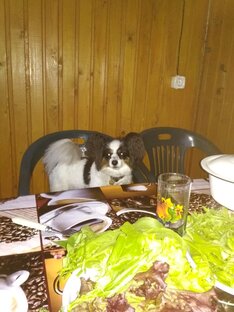 В свободном просмотре