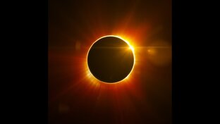 Темная сторона