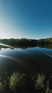 ПРИКЛЮЧЕНИЯ 2023 (ВИДЕО)