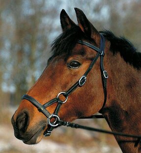 Курагинский район