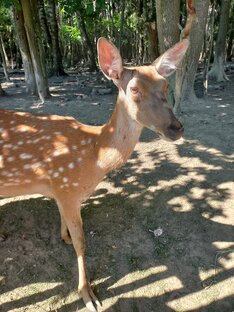 Бывший охот. заказник