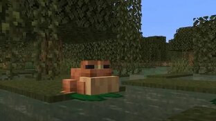 Дикое обновление 