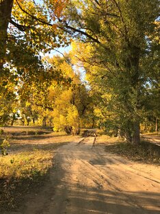 Детская литература 
