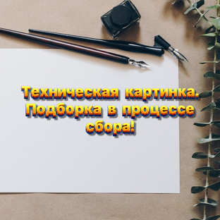 🎶 Песни (записи с концертов)🎤