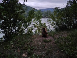 Экспедиция в Горный Алтай 2022#1