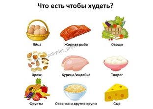 Инфографика