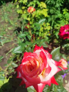 Путешествия по Крыму