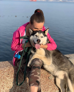 Помощь хаски 