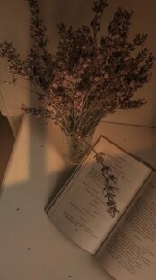 Психологические тесты 