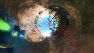 Пробежки - прогулки