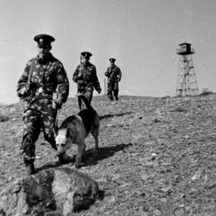 Зелёные фуражки