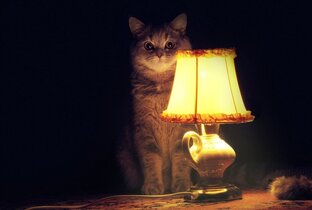Стихи и про стихи 