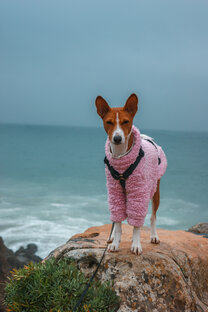 Как мы ездили в Европу!