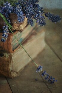 Нон-фикшн 