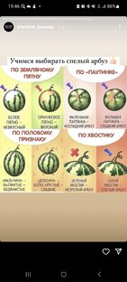 Всякое