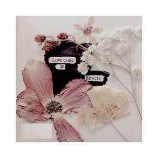 История чувств