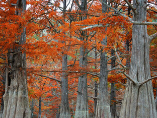 Анапа экскурсии