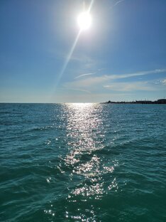 Рестораны в Сочи