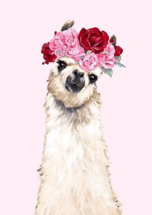 Триостарты 