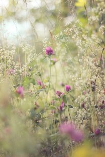 Творческая мастерская