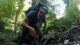 Путешествия