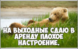 Субботним вечером. 