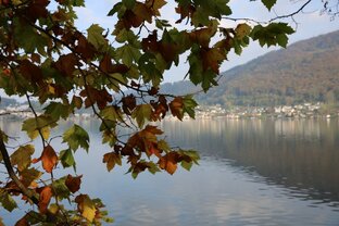 Про тело и здоровье.