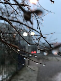 Про насилие и бессилие