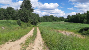 Отпуск по инициативе нанимателя