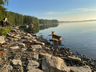 Озеро Увильды и окрестности
