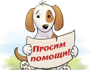 Нуждаются в помощи 