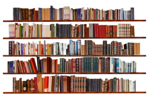 Тесты на эрудицию и кругозор