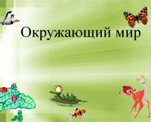 Окружающий мир 3 класс