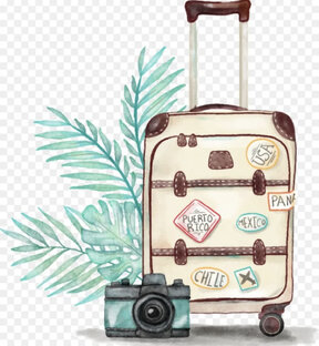 Путешествия 💚