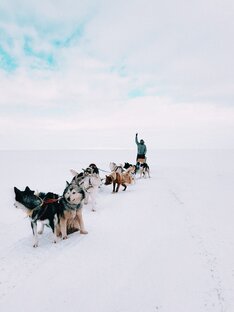 Интересные статьи