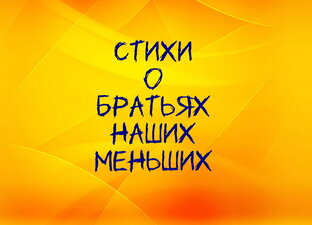 Стихи о братьях наших меньших