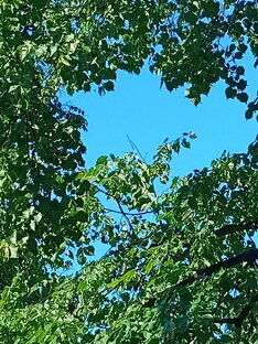 Вот красота нашего города 