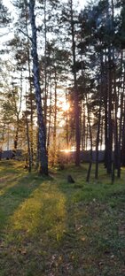 Мёртвое море Сибири. Яровое.