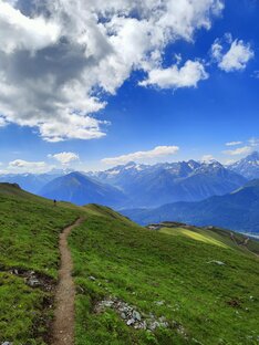 Путешествия